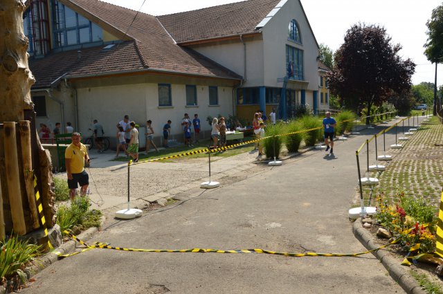 Falunap 2017